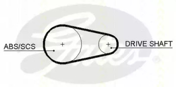 Curea de distributie