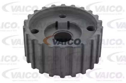 Pinion arbore cotit