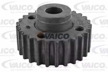 Pinion arbore cotit