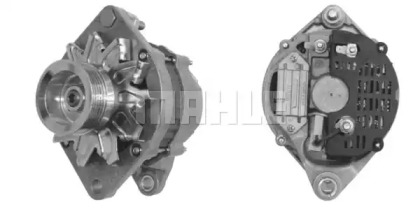 SET SURUB, DISC CUREA-ARBORE COTIT