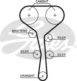 Curea de distributie