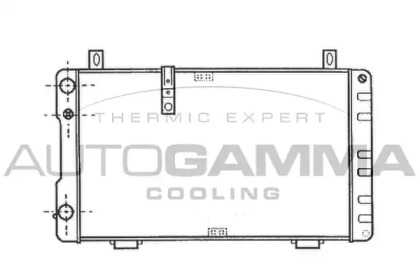 Radiator apă răcire motor