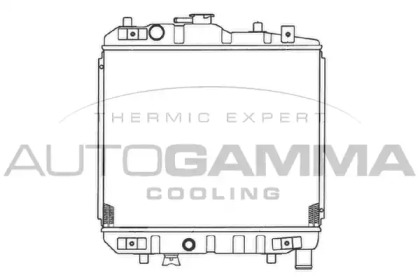 termostat,lichid racire