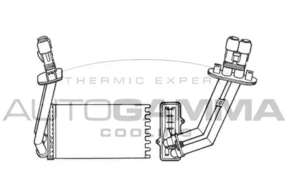 USZCZELKA G. FIAT/ FORD TRANSIT 2,2 TDCI 06-