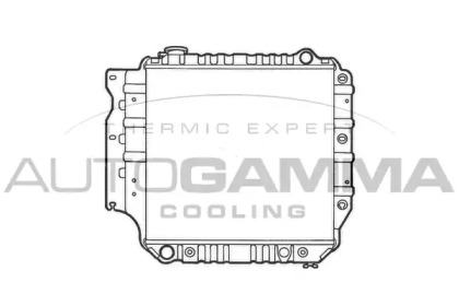 Radiator apă răcire motor