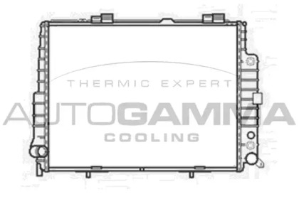 Radiator apă răcire motor