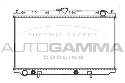 termostat,lichid racire