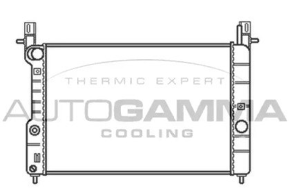 Radiator apă răcire motor