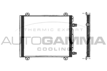 PYN DO CHODNIC 5L / ETC PREMIX PROTECT C12EVO -40øC / G12EVO