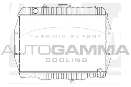 Radiator apă răcire motor