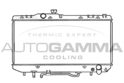 TERMOSTAT BMW 5 G30