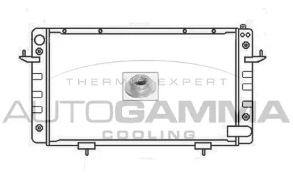 Radiator apă răcire motor