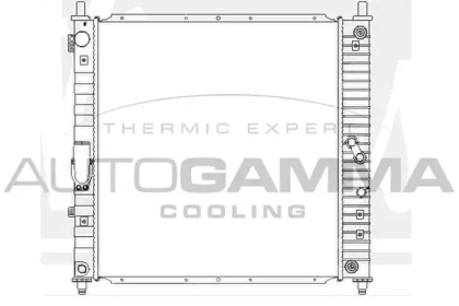 Radiator apă răcire motor