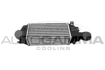 Intercooler