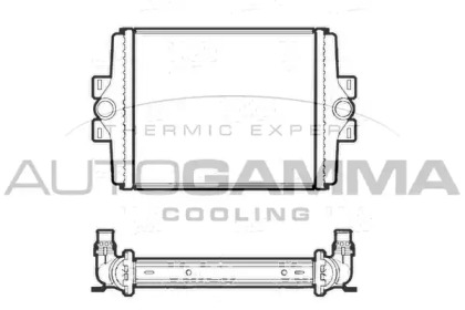 TARCZA HAM. BMW P. X5/X6 2,0-3,0 D 06-