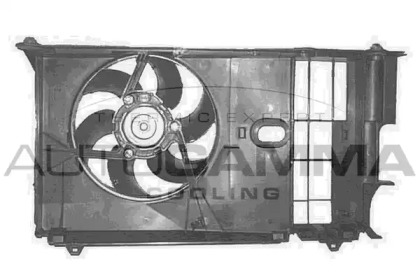 Ventilator răcire motor