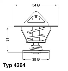 TERMOSTAT,LICHID RACIRE